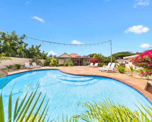 Ierlandstraat 20 – Spacious Villa with Detached Apartments