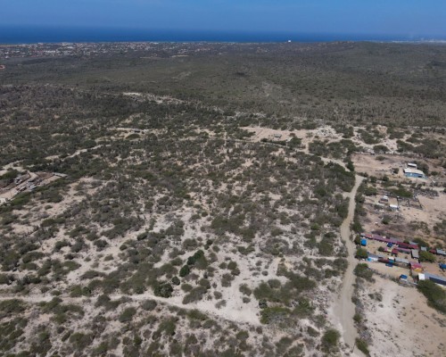 Butucu Property land